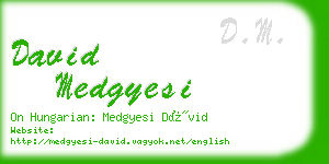 david medgyesi business card